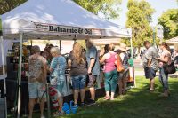 Art in the Park 2021 california balsamic & oil vendors